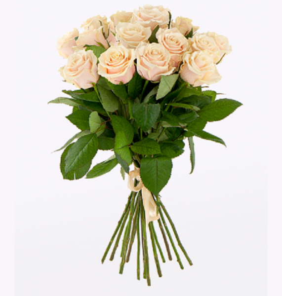15 персиковых роз 70 см.