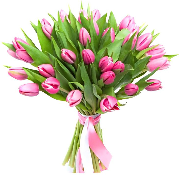 35 розовых тюльпанов