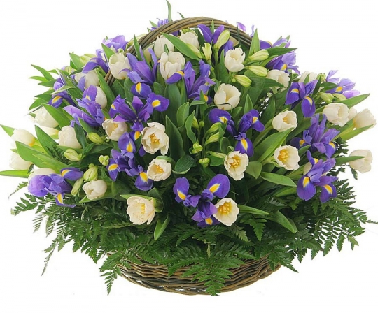 Вечная весна