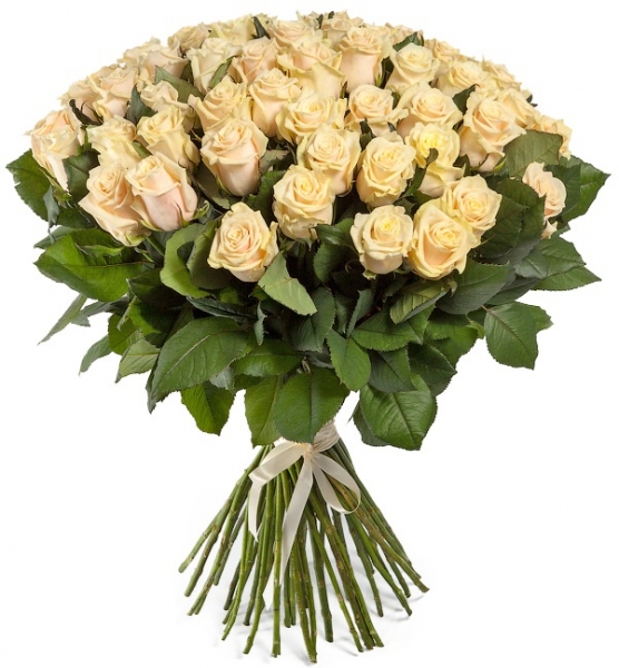 51 персиковая роза 70 см.