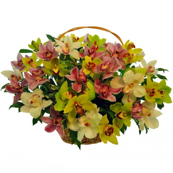 Долина эльфов