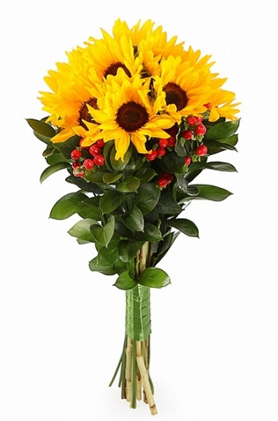 Краски осени