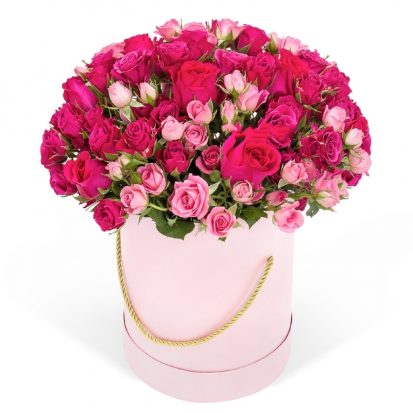 Тайны сердца