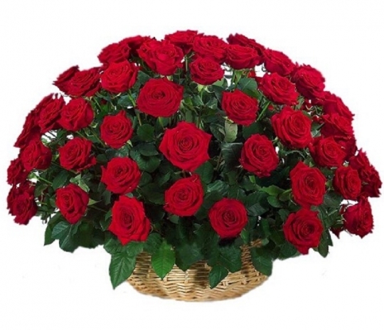 101 красная роза в корзине