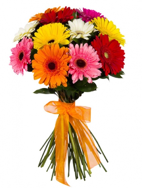 Гербера микс