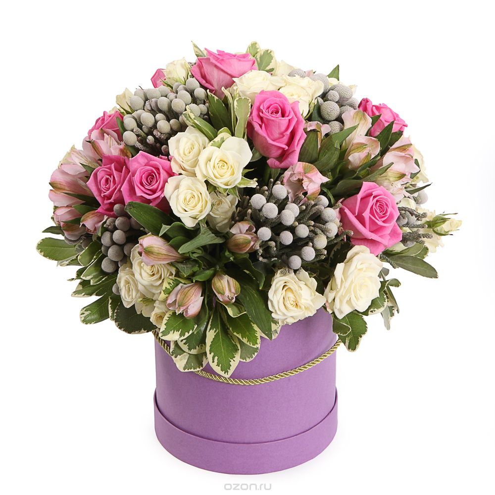 Незнакомка