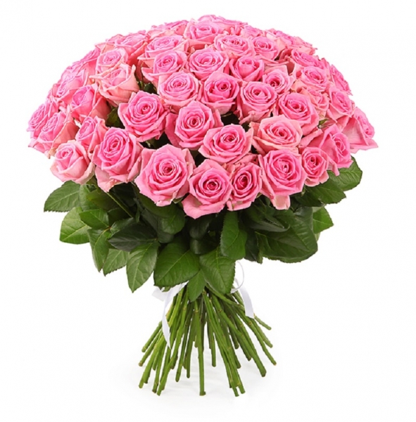 51 розовая роза 70 см.
