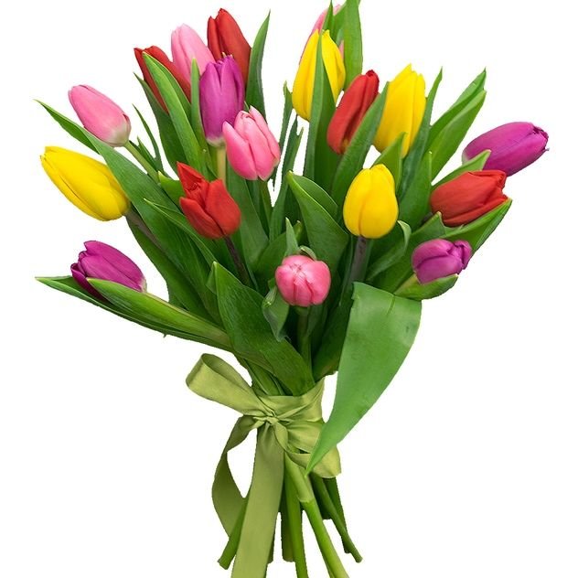 17 тюльпанов микс
