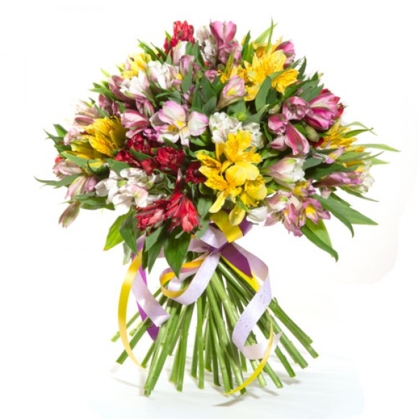 Альстромерии