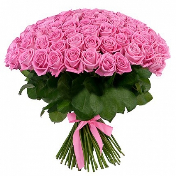 101 розовая роза 70 см.