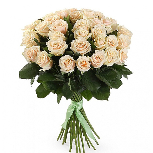 51 кремовая роза 70 см.