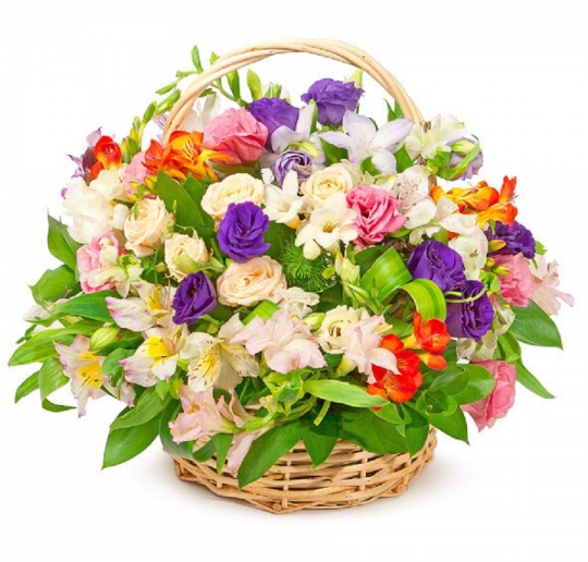 Луговые цветы