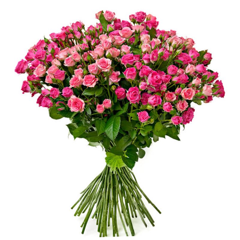 35 кустовых роз 70см.