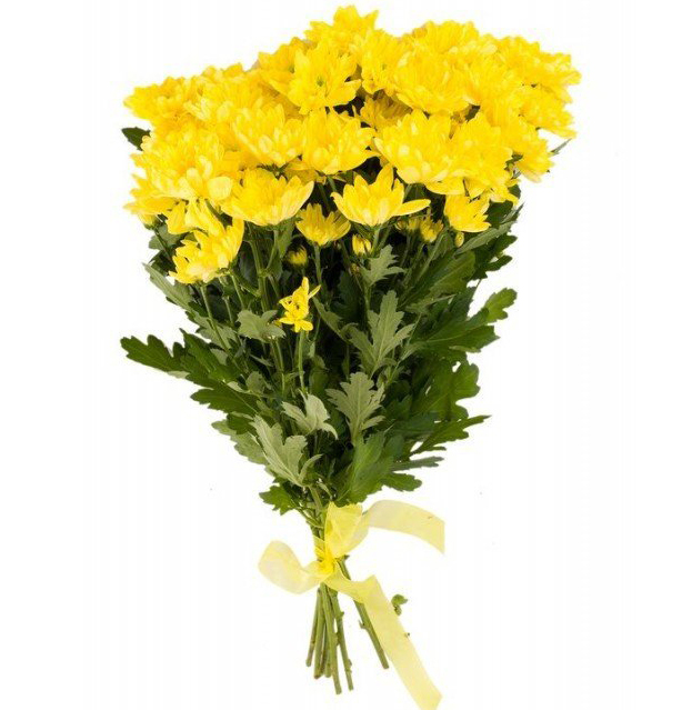 7 жёлтых хризантем