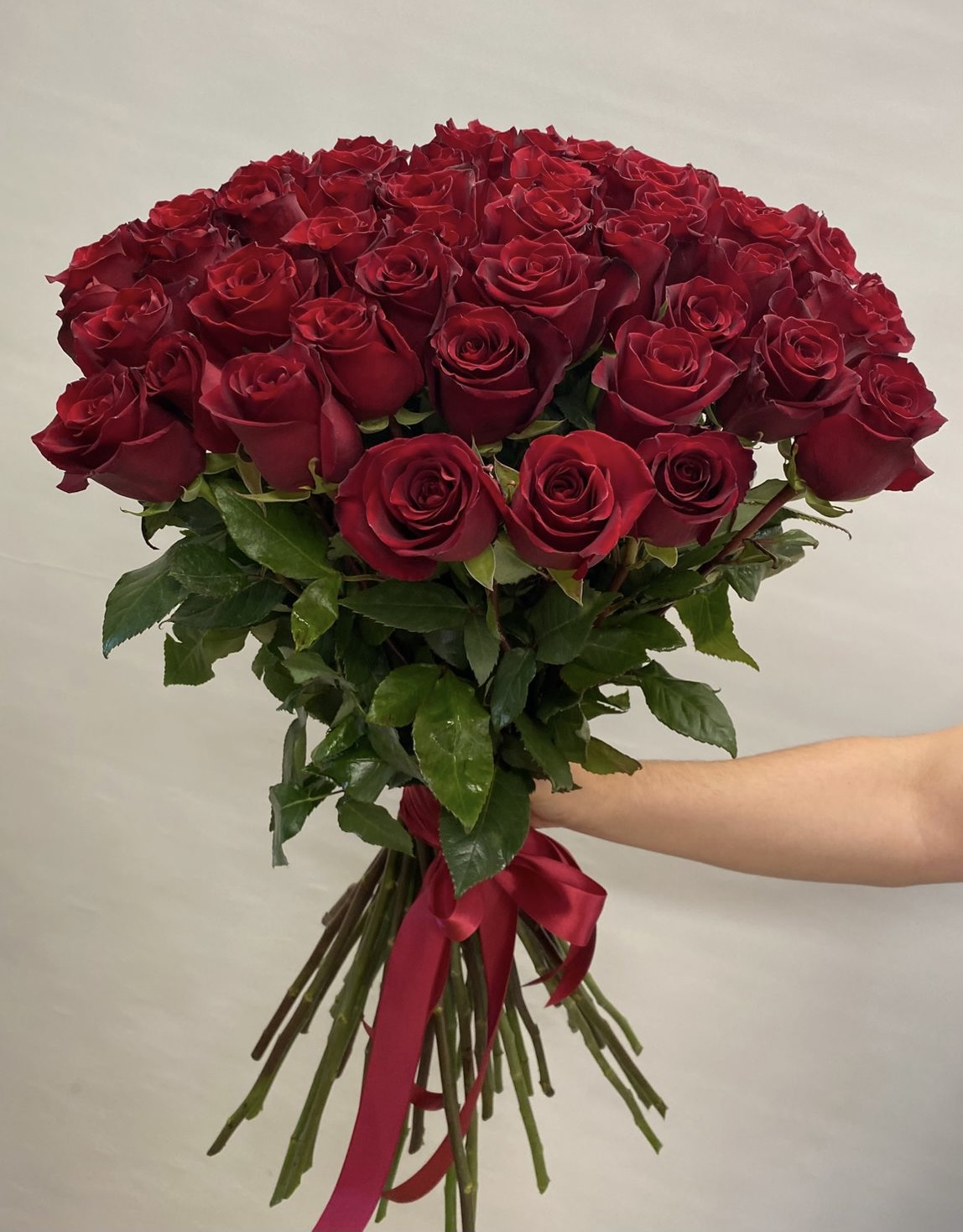 51 импортная роза "Эксплоер" 70 см.