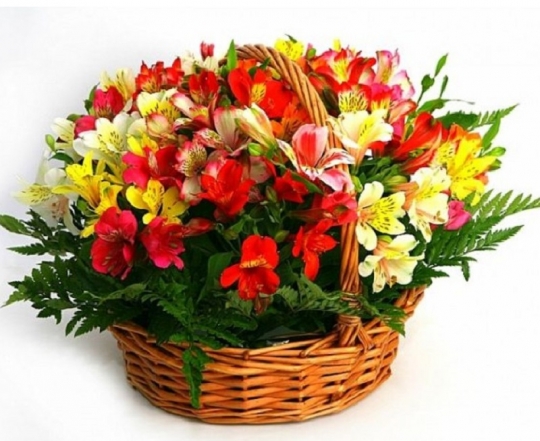 Романтическая История