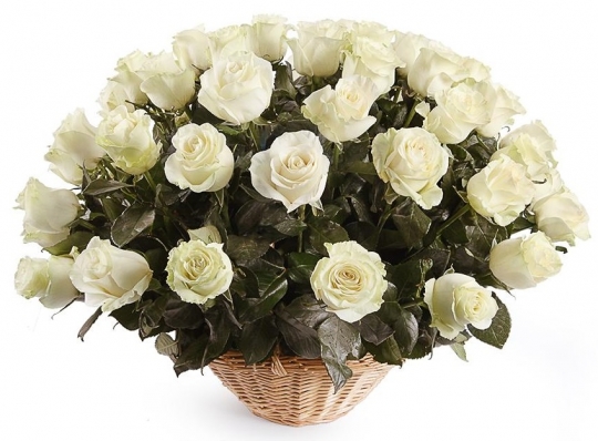 51 голландская роза "Мондиаль" в корзине