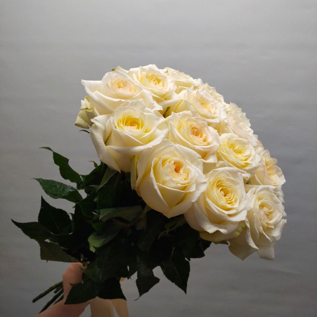 21 импортная роза "Кандерлайт" 70см.