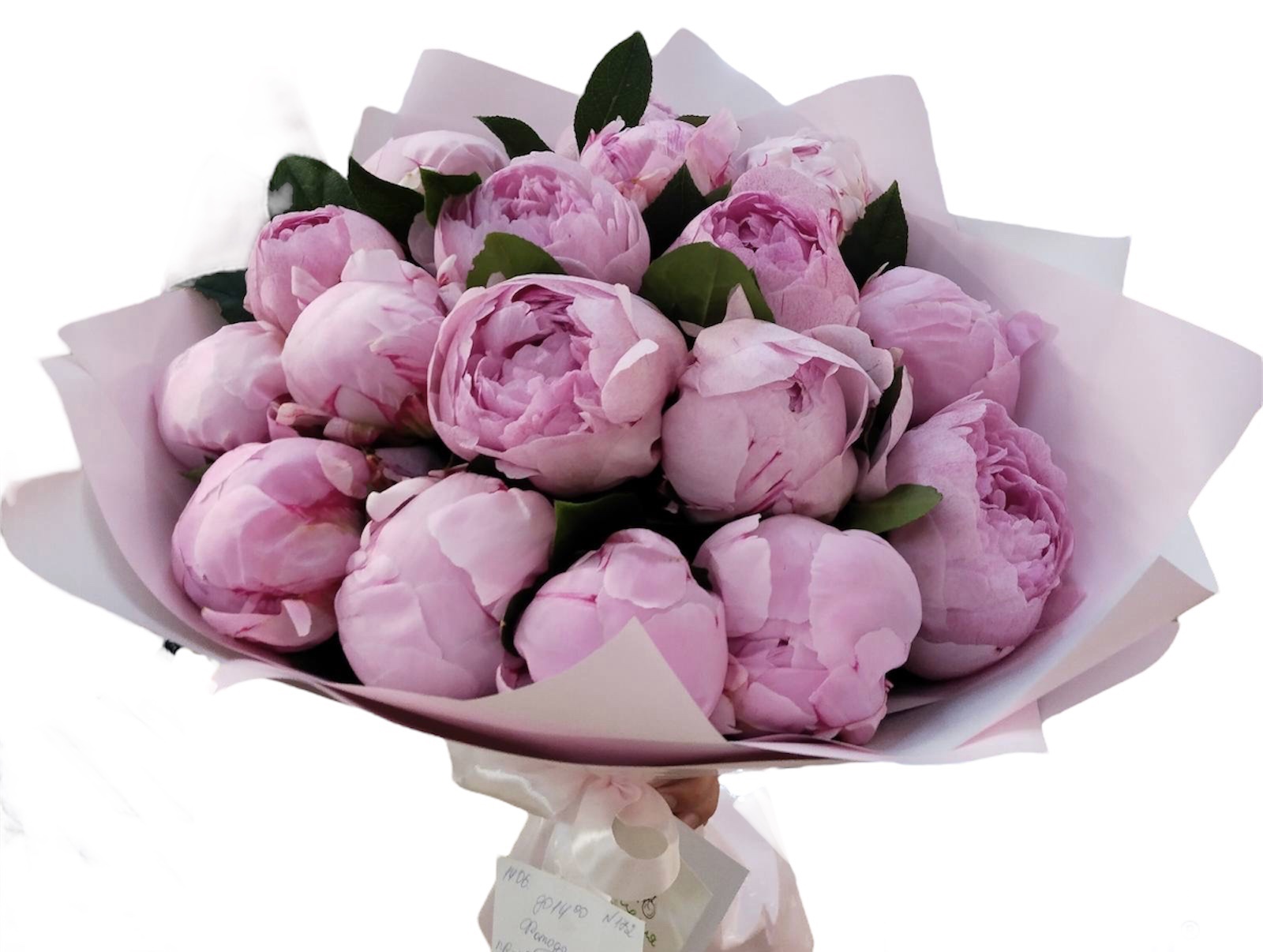 Нежность пионов