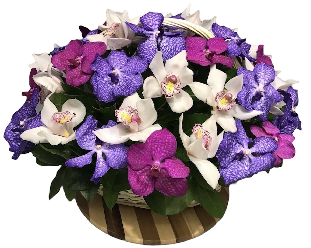 Девичьи грёзы