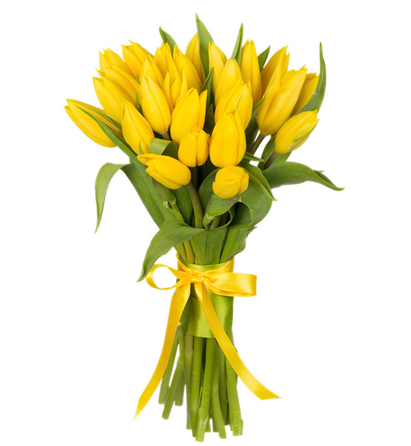 25 жёлтых тюльпанов