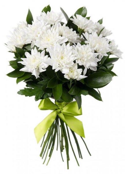 Хризантемы