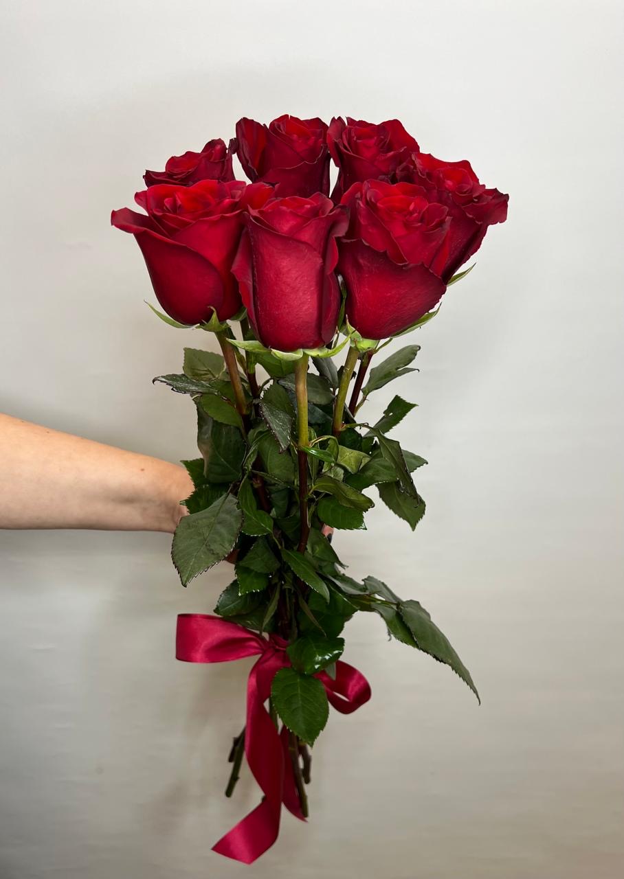 7 импортных роз "Эксплоер" 70 см.