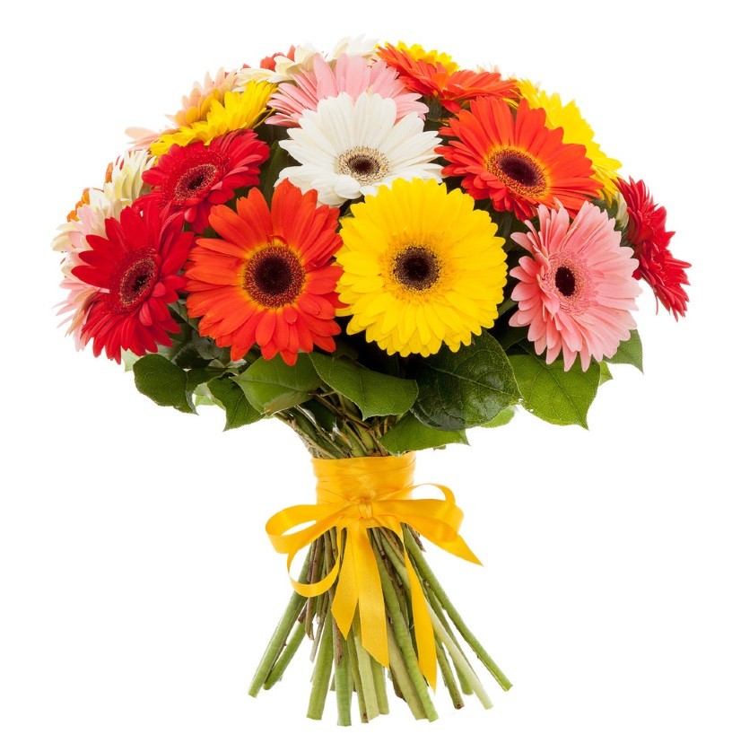 25 гербер микс