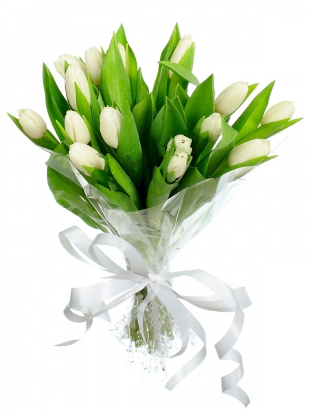 15 белых тюльпанов