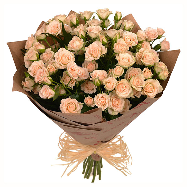 25 кустовых кремовых роз 70 см. в упаковке