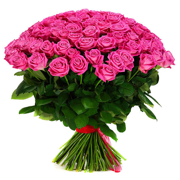 101 розовая роза 70см.