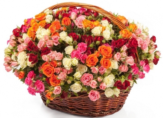 101 кустовая роза микс в корзине