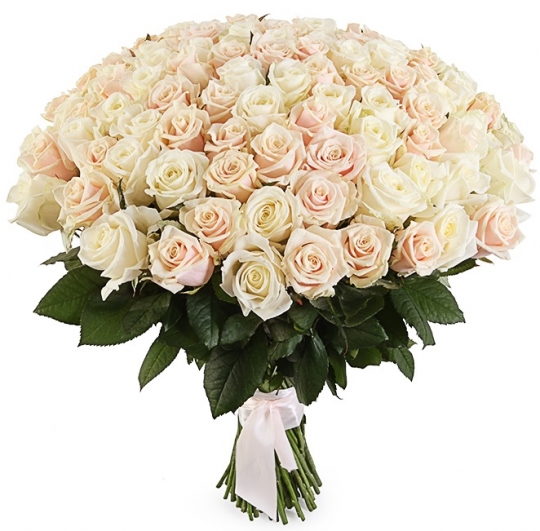 101 кремовая роза 70 см.