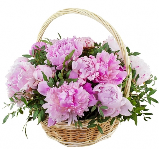 Наваждение