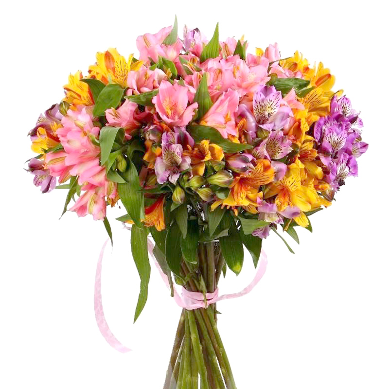 25 альстромерий