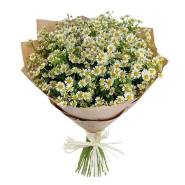 Букет из ромашки кустовой