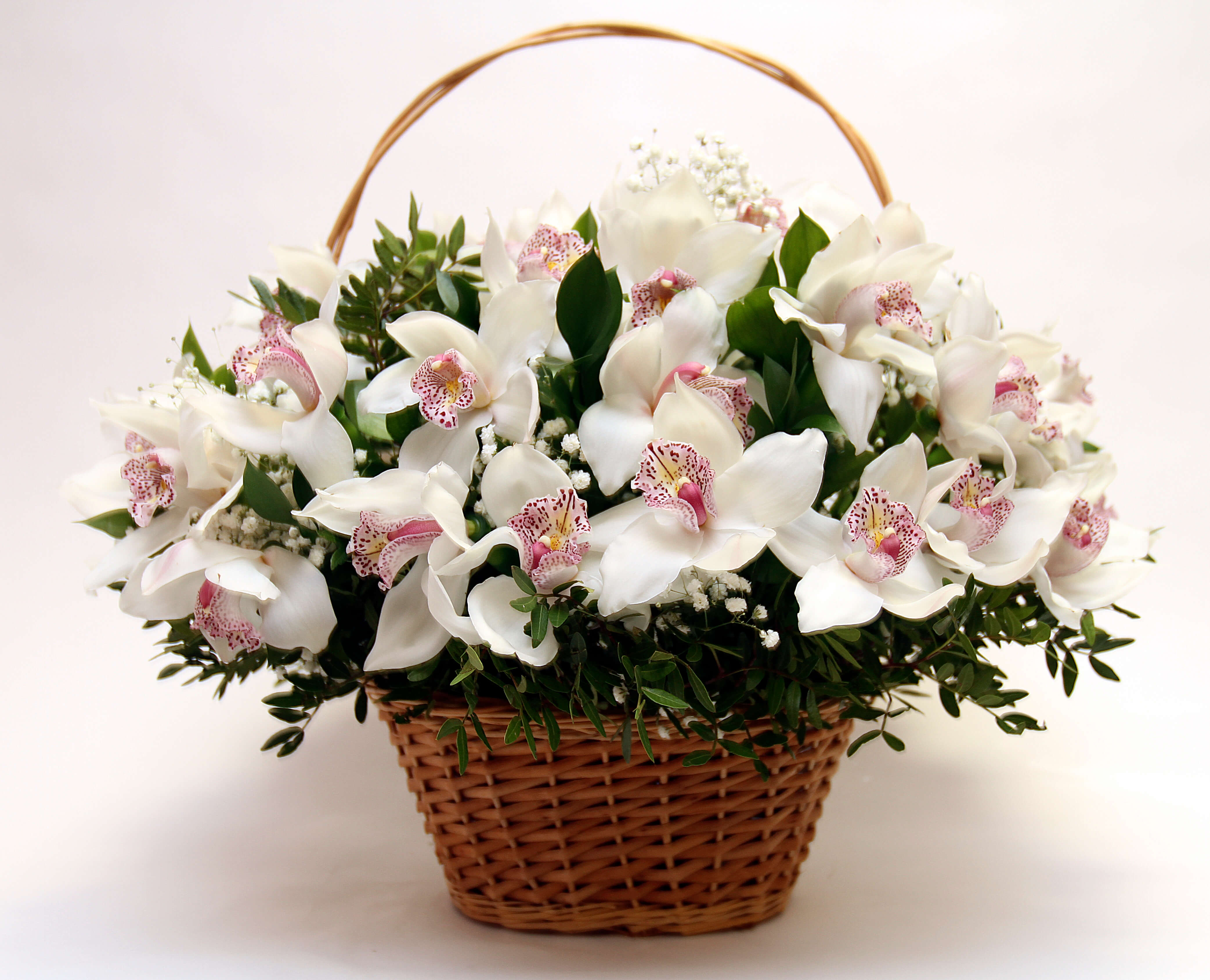 Нежный рассвет