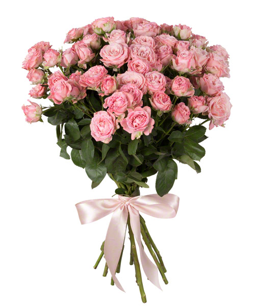 9 розовых кустовых роз