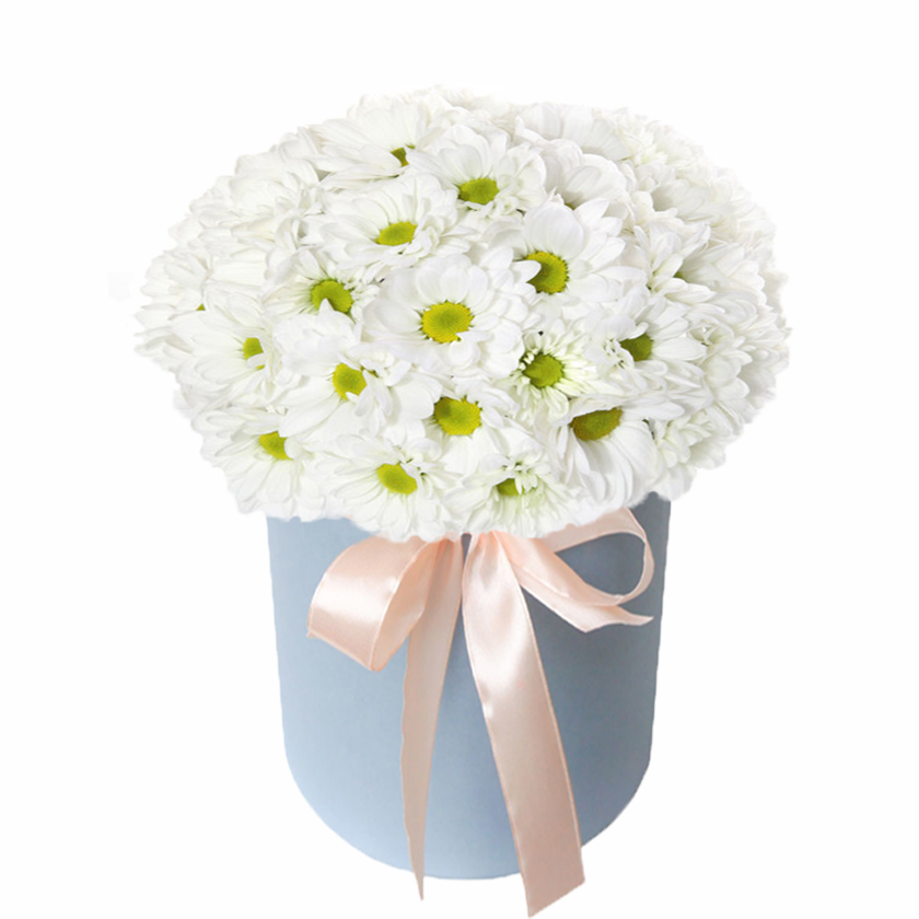 Ромашки для любимой