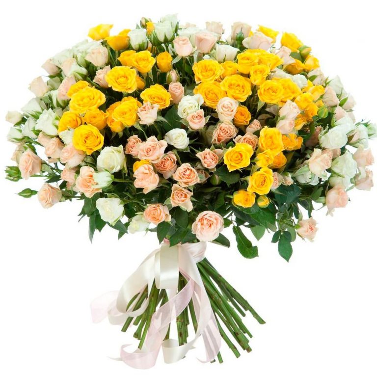 51 кустовая роза 70см.