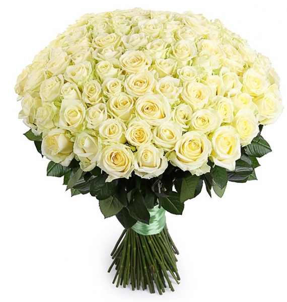 101 белая роза 70 см.
