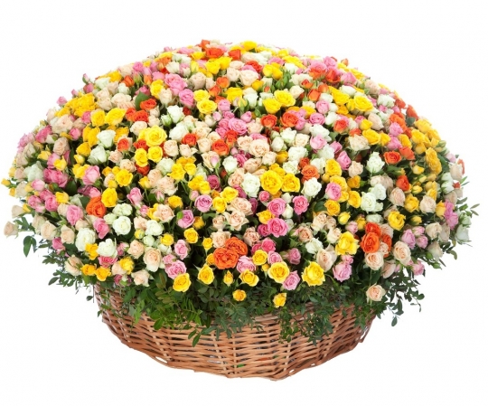 301 кустовая роза в корзине
