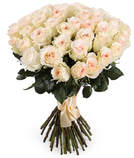 51 кремовая роза 70 см.