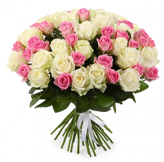 51 белая и розовая роза 50 см.