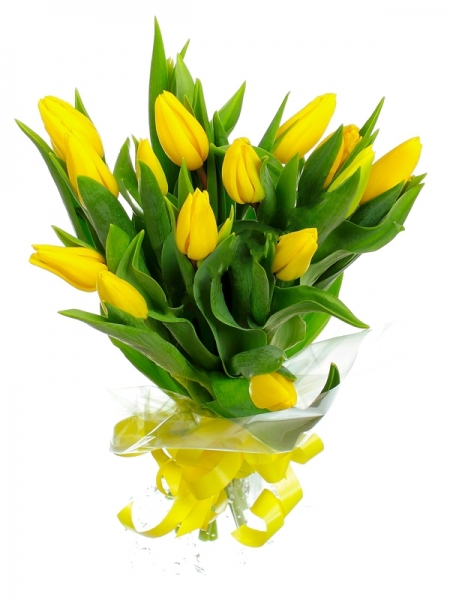 15 жёлтых тюльпанов