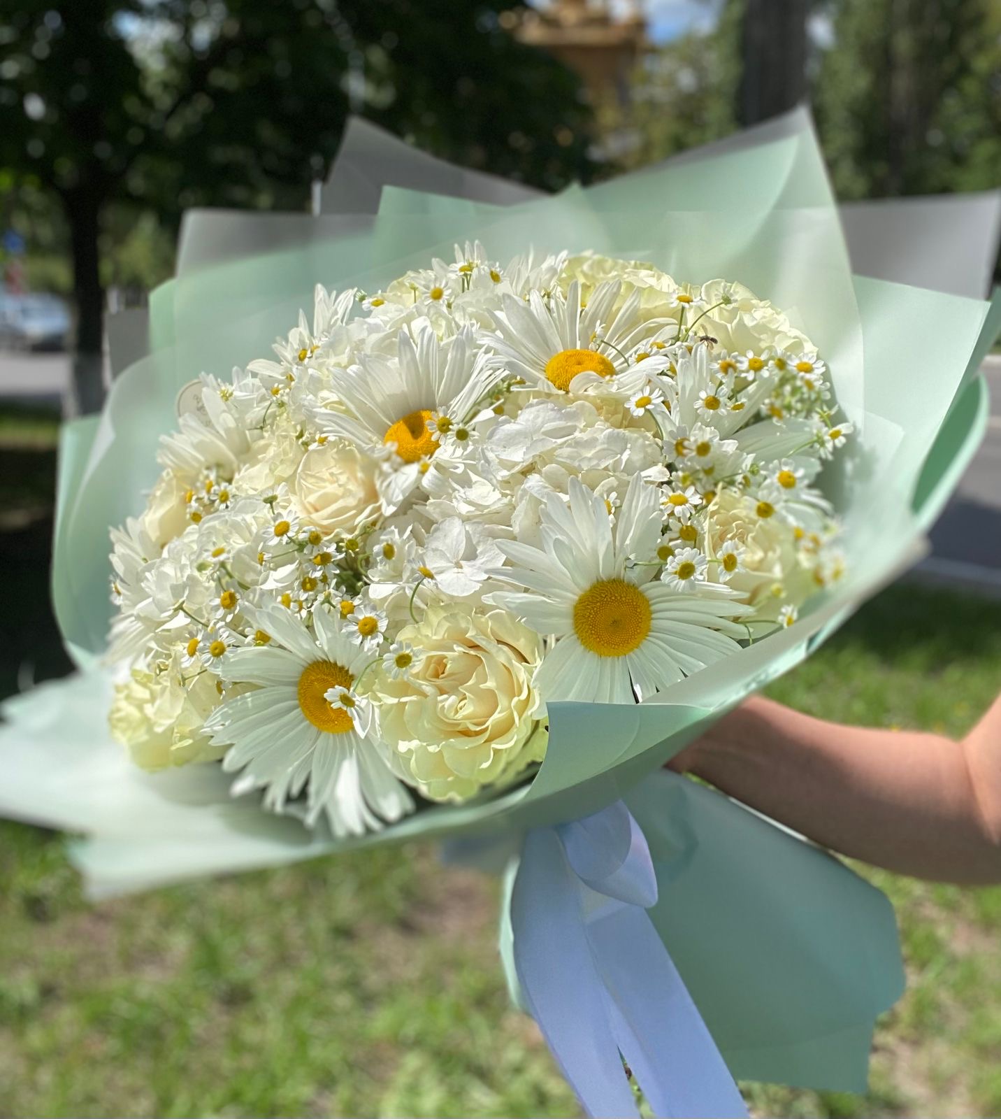 Ромашковая полянка